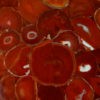 Red Carnelian