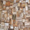 Petrified Wood Retro