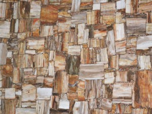 PETRIFIED WOOD RETRO